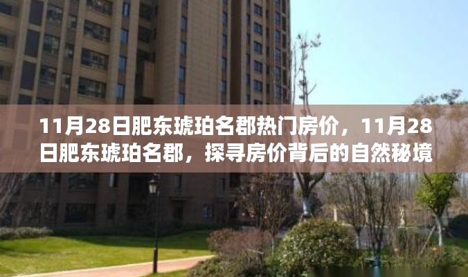 探寻肥东琥珀名郡房价背后的自然秘境之旅，最新热门房价解析