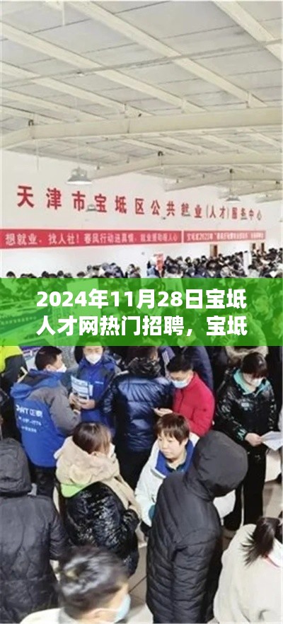 2024年11月28日宝坻人才网招聘日，行业趋势与人才需求深度解析