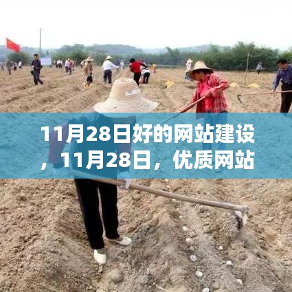 优质网站建设核心要素与策略解析，11月28日指南