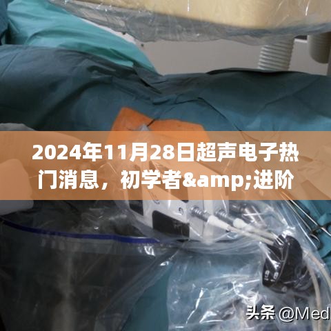 2024年11月28日超声电子热门消息全攻略，初学者与进阶用户必备掌握