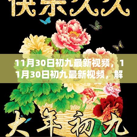 11月30日初九最新视频，解锁潮流魅力，领略独特风尚