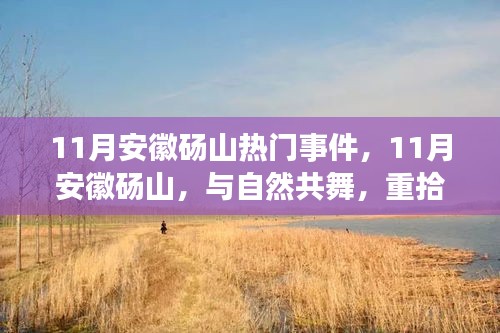 11月安徽砀山热门事件，与自然共舞，重拾宁静与欢笑时光