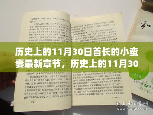 历史上的11月30日，首长小蛮妻的最新章节及我的见解