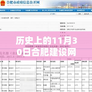 历史上的11月30日合肥网站建设全攻略，构建优质网站的初学者与进阶用户指南