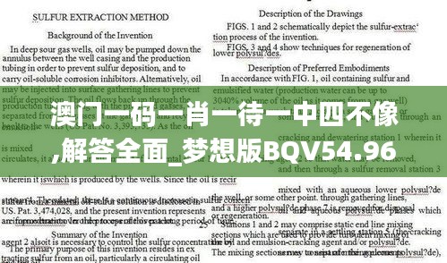 澳门一码一肖一待一中四不像,解答全面_梦想版BQV54.963