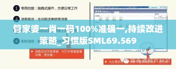 管家婆一肖一码100%准确一,持续改进策略_习惯版SML69.569