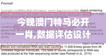 今晚澳门特马必开一肖,数据评估设计_零障碍版CJG1.932