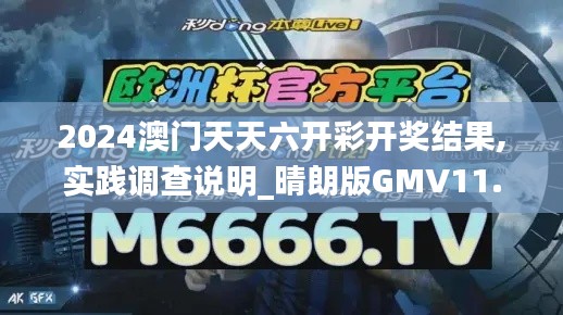 2024澳门天天六开彩开奖结果,实践调查说明_晴朗版GMV11.642