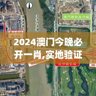 2024澳门今晚必开一肖,实地验证实施_电影版LYX54.662