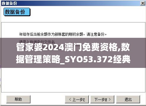 管家婆2024澳门免费资格,数据管理策略_SYO53.372经典版