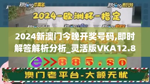 2024新澳门今晚开奖号码,即时解答解析分析_灵活版VKA12.806