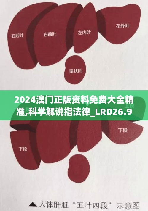 2024澳门正版资料免费大全精准,科学解说指法律_LRD26.950车载版