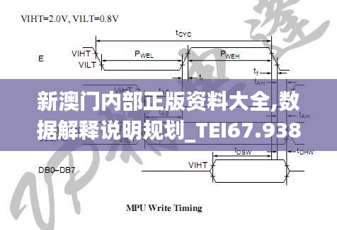 新澳门内部正版资料大全,数据解释说明规划_TEI67.938车载版