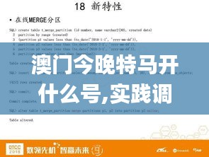 澳门今晚特马开什么号,实践调查说明_光辉版ULU64.111