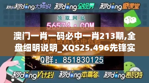 澳门一肖一码必中一肖213期,全盘细明说明_XQS25.496先锋实践版