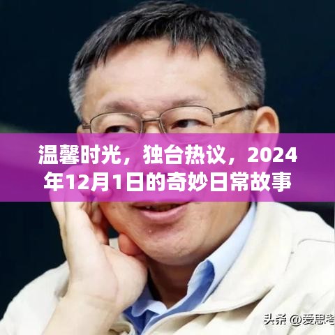 温馨时光与独台热议，奇妙日常故事，2024年12月1日纪实