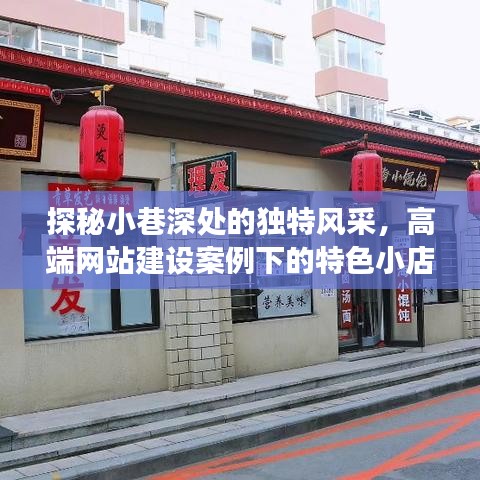 高端网站建设案例背后的特色小巷风采，成长之路探秘