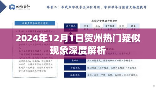 2024年贺州热门现象深度解析，揭秘背后的故事