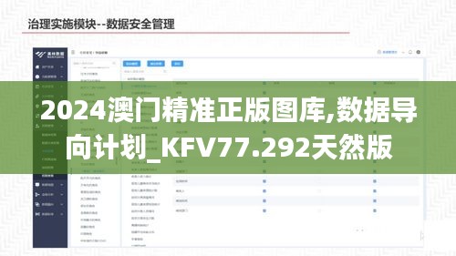 2024澳门精准正版图库,数据导向计划_KFV77.292天然版