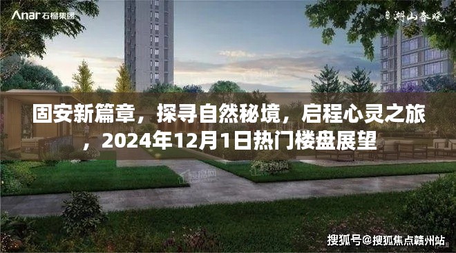 固安新篇章热门楼盘展望，探寻自然秘境的心灵之旅（2024年12月1日）