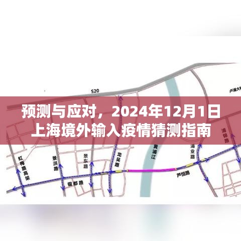 上海境外输入疫情预测与应对策略，2024年12月1日指南