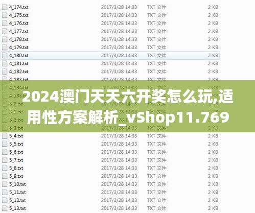 2024澳门天天六开奖怎么玩,适用性方案解析_vShop11.769-6