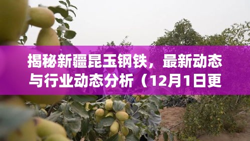 揭秘新疆昆玉钢铁，最新动态与行业洞察（12月1日更新）