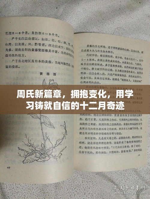 周氏新篇章，学习铸就自信，拥抱变化创造十二月奇迹