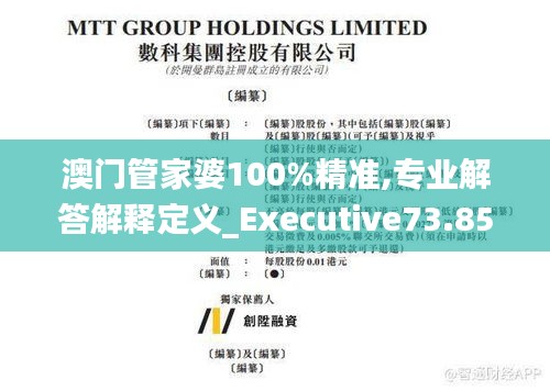 澳门管家婆100%精准,专业解答解释定义_Executive73.853-6