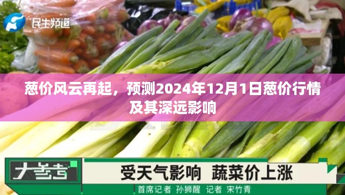 2024年12月1日葱价行情预测及其深远影响分析