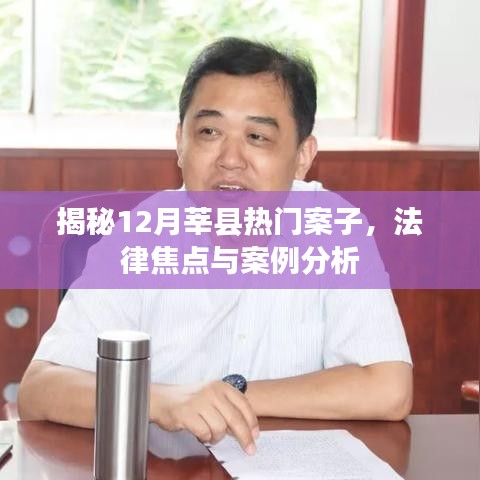 揭秘莘县十二月热点案件，法律焦点与深度案例分析