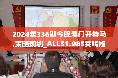 2024年336期今晚澳门开特马,策略规划_ALL51.985共鸣版