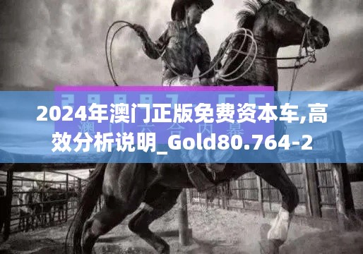 2024年澳门正版免费资本车,高效分析说明_Gold80.764-2