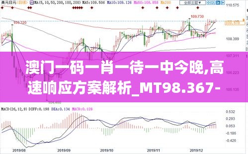 澳门一码一肖一待一中今晚,高速响应方案解析_MT98.367-9