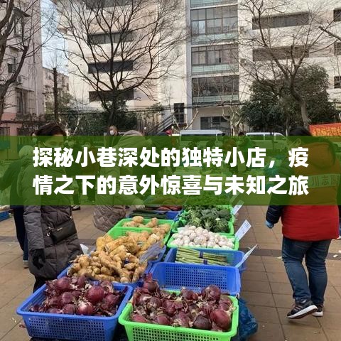 疫情之下的小巷探秘，独特小店与未知惊喜之旅