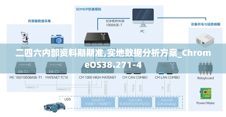 二四六内部资料期期准,实地数据分析方案_ChromeOS38.271-4