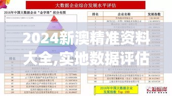 2024新澳精准资料大全,实地数据评估执行_BT38.891-7