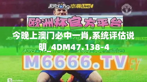 今晚上澳门必中一肖,系统评估说明_4DM47.138-4