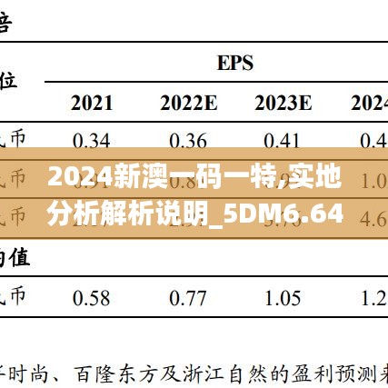 2024新澳一码一特,实地分析解析说明_5DM6.649-5