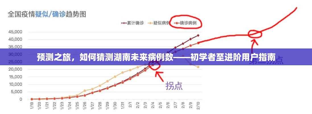 湖南未来病例数预测指南，从初学者到进阶用户的猜测之旅