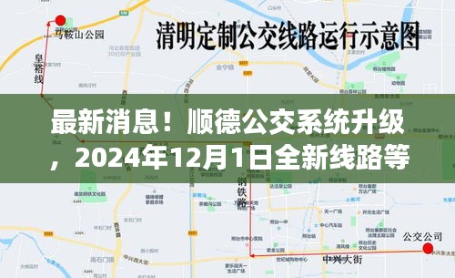 顺德公交系统升级揭晓，全新线路2024年12月1日正式上线