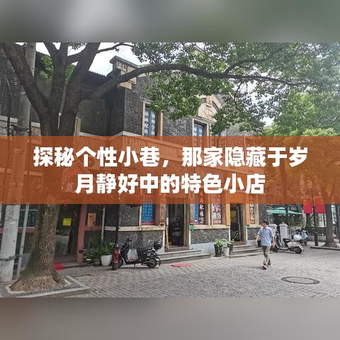 探秘岁月静好中的隐藏特色小店，个性小巷里的秘密宝藏