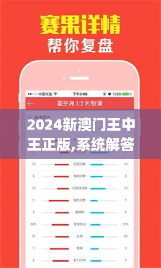 2024新澳门王中王正版,系统解答解释落实_Z93.570-4