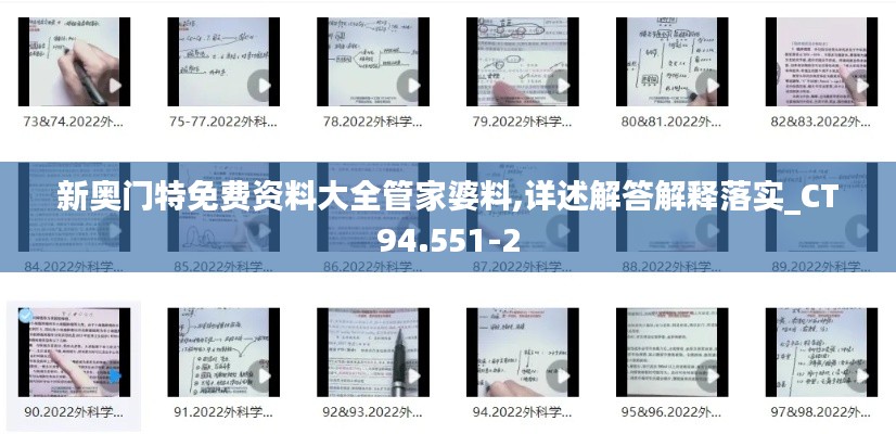 新奥门特免费资料大全管家婆料,详述解答解释落实_CT94.551-2