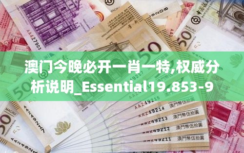 澳门今晚必开一肖一特,权威分析说明_Essential19.853-9