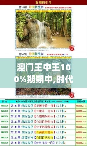 澳门王中王100%期期中,时代资料解释落实_工具版4.821-3