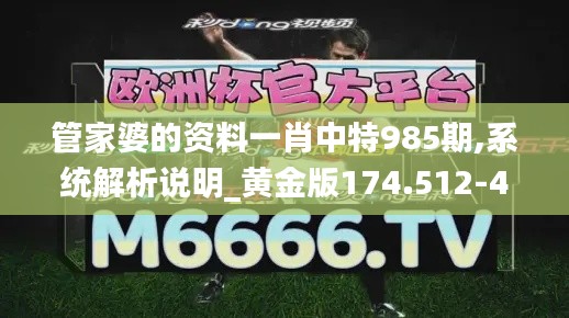 管家婆的资料一肖中特985期,系统解析说明_黄金版174.512-4