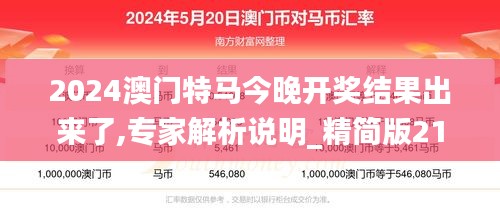 2024澳门特马今晚开奖结果出来了,专家解析说明_精简版21.297-6