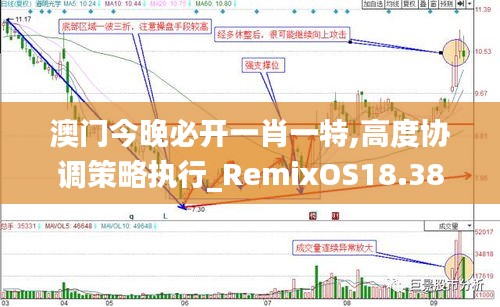 澳门今晚必开一肖一特,高度协调策略执行_RemixOS18.386-2