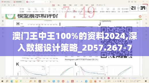 澳门王中王100%的资料2024,深入数据设计策略_2D57.267-7